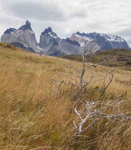 I Cuernos del Paine